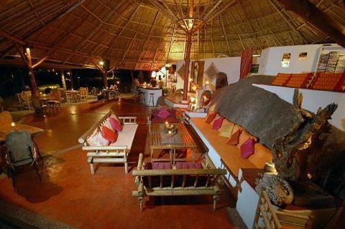 Hotel The Jungle Club 13