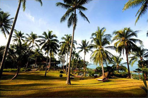 Hotel The Jungle Club 2