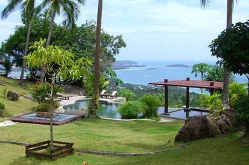 Hotel The Jungle Club 3