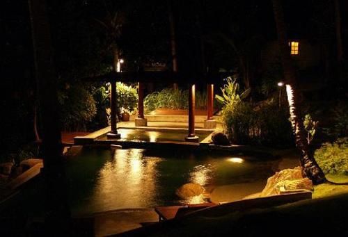 Hotel The Jungle Club 6