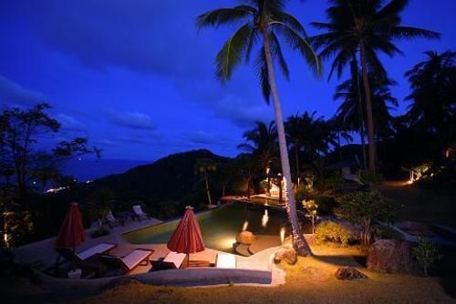 Hotel The Jungle Club 7