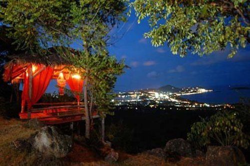 Hotel The Jungle Club 8