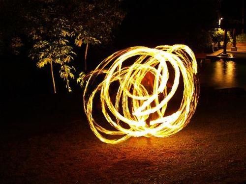 Hotel The Jungle Club 9