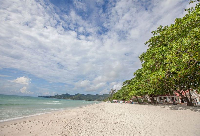 Hotel King's Garden Resort 17