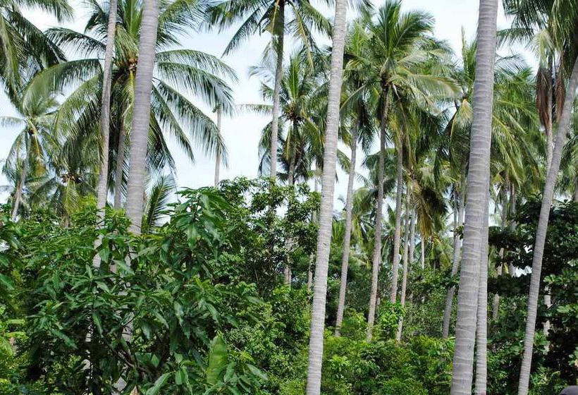 Hotel Baan Sawan Samui Resort 7