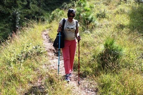 Hotel Itmenaan Estate 14