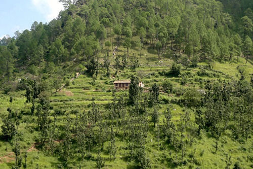 Hotel Itmenaan Estate 20