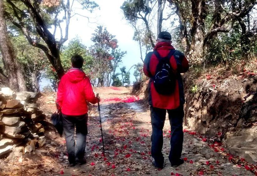 Hotel Itmenaan Estate 8