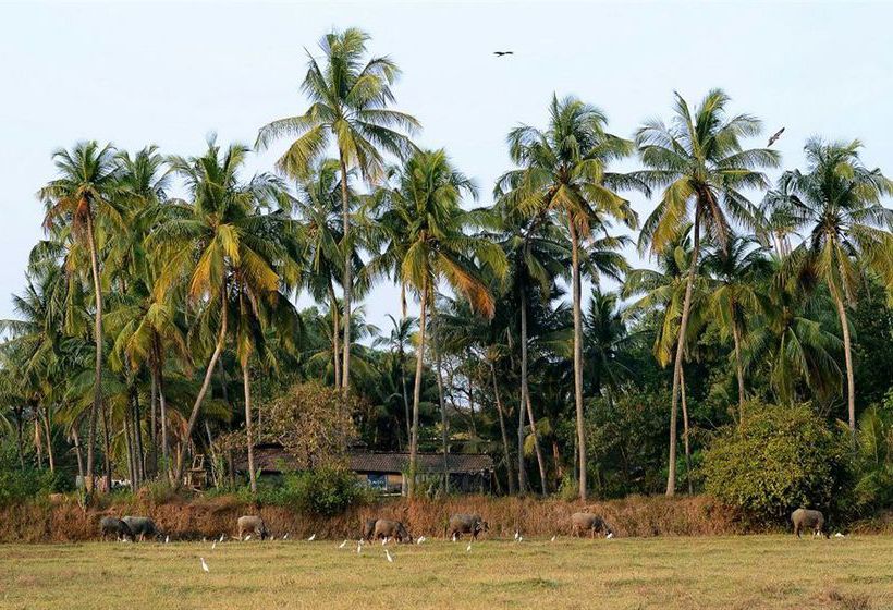 Hotel Om Lake Resort 9