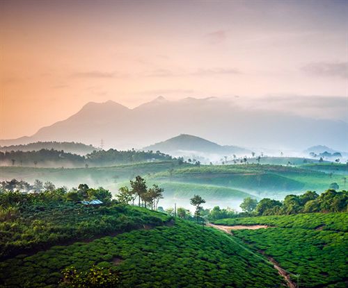 Hotel Grass Roots 10