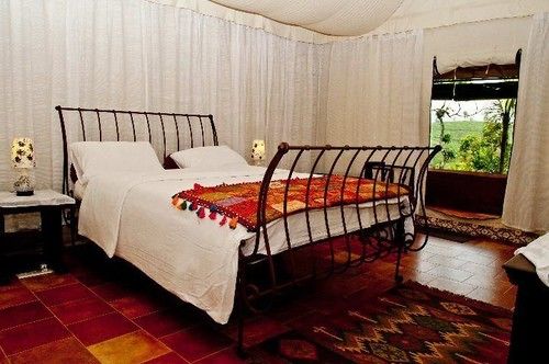 Hotel Grass Roots 13