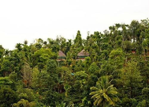 Hotel Grass Roots 15