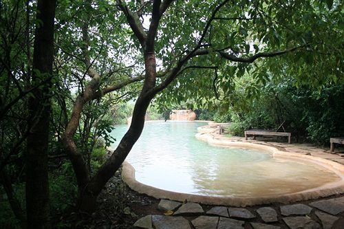 Wildernest Nature Resort 2