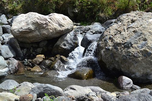 Hotel Dolmaar Resort 10