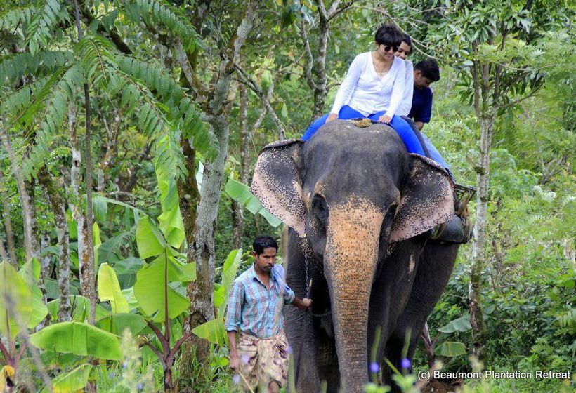 Hotel Beaumont Plantation Retreat 12