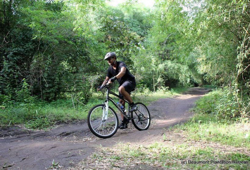 Hotel Beaumont Plantation Retreat 5