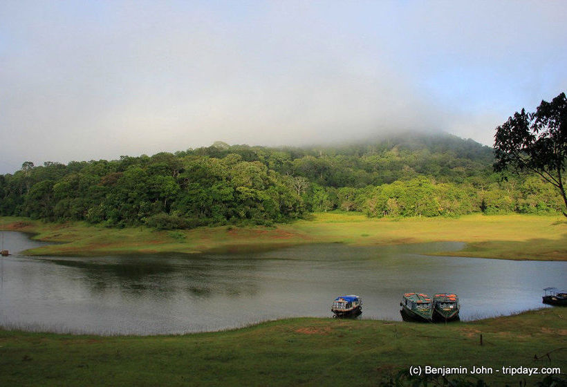 Hotel Beaumont Plantation Retreat 6