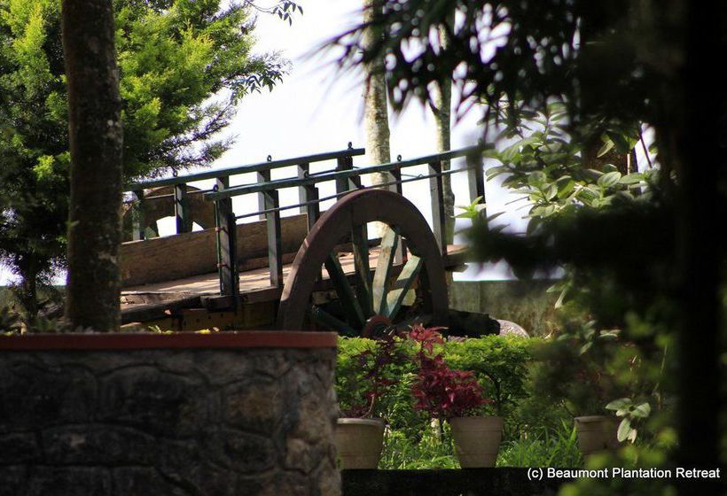 Hotel Beaumont Plantation Retreat 9