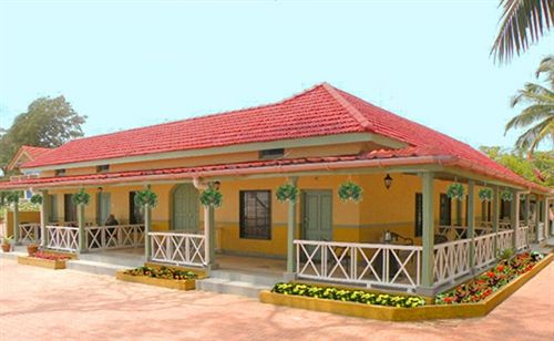 Golden Swan Beach Resort 5