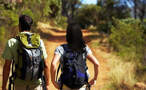 Hotel Banasura Hill Resort 14