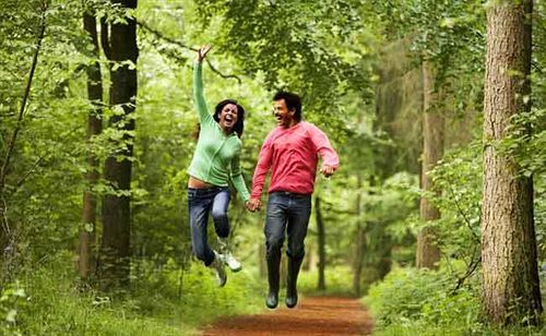 Hotel Banasura Hill Resort 17