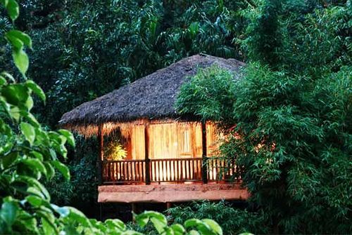 Hotel Banasura Hill Resort 8