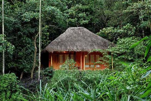 Hotel Banasura Hill Resort 9