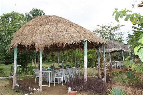 Hotel United 21 Jungle Resort 6