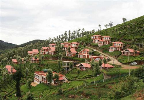 Hotel United 21 Paradise 9