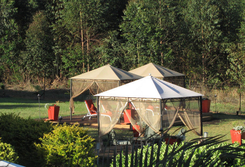 Pensión Schneider's Guest House 15