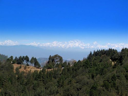 Hotel Kampland Nature Resort 10