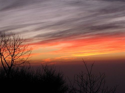 Hotel Kampland Nature Resort 13