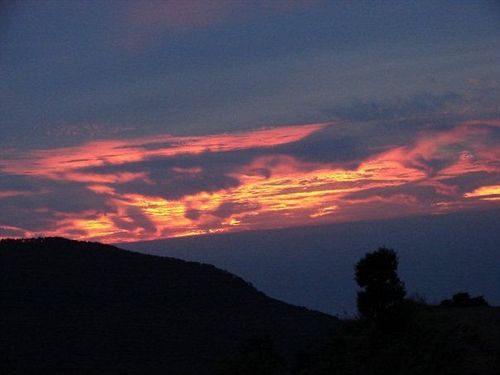 Hotel Kampland Nature Resort 18