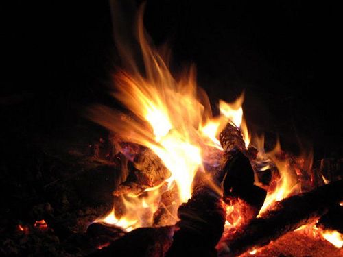 Hotel Kampland Nature Resort 4