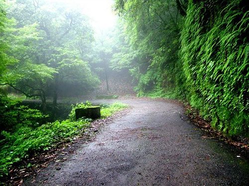 Hotel Kampland Nature Resort 9