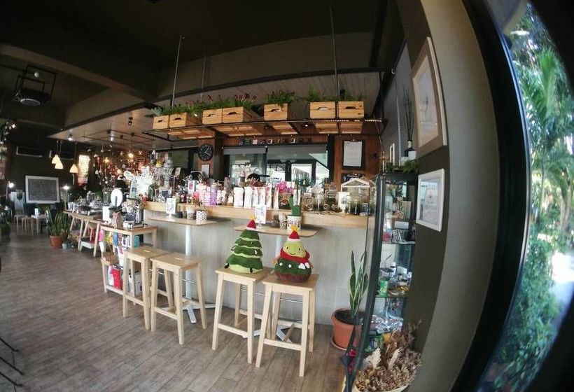 Hotel 26 Bed And Coffee 2