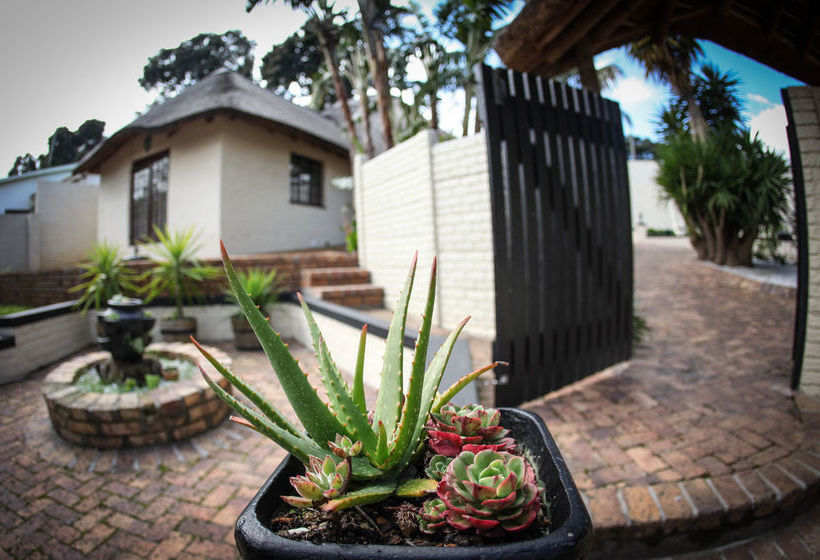 Pension Winelands Villa Guesthouse 18