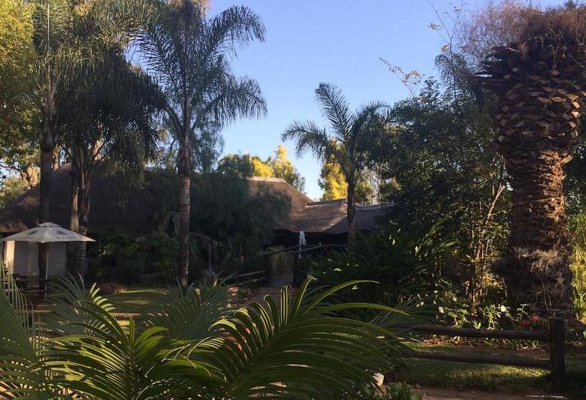 Hotel Villa Africa Boutique 13