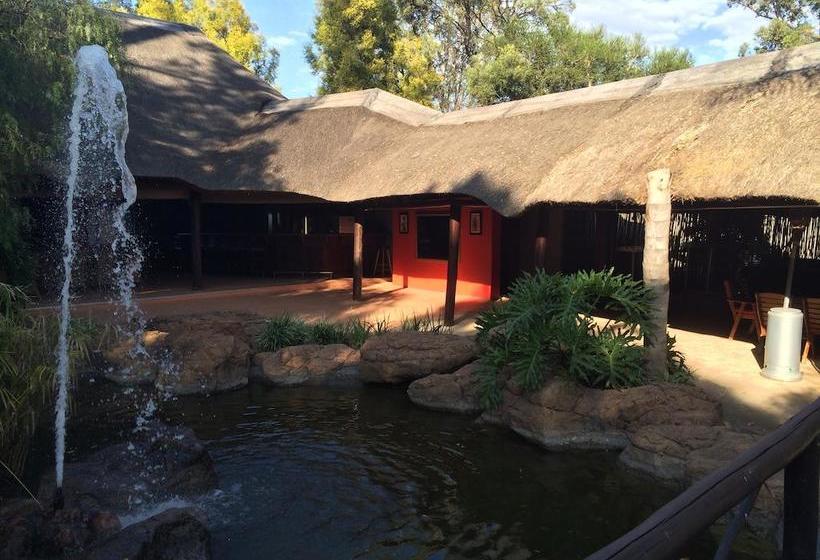 Hotel Villa Africa Boutique 14