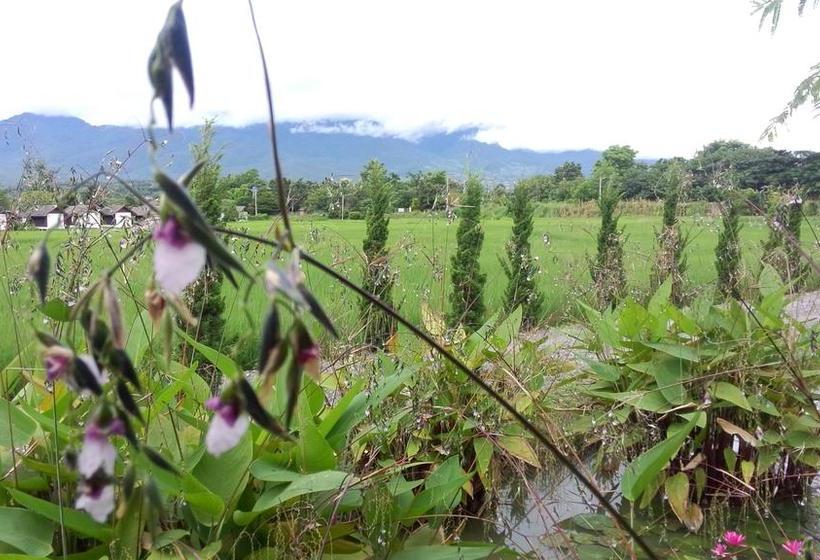 Hotel Pai My Guest Resort 16