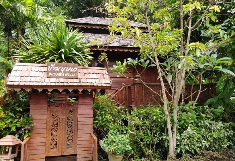 Hotel Pai Treehouse Resort 2