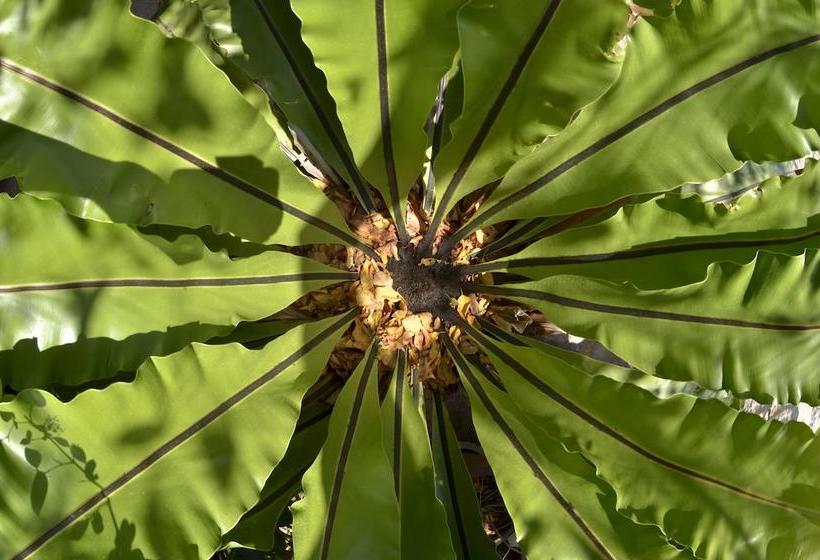 Hotel Lung Pae Resort 11