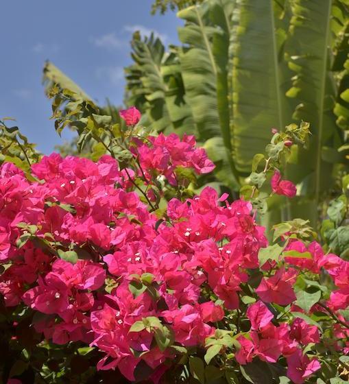 Hotel Lung Pae Resort 12