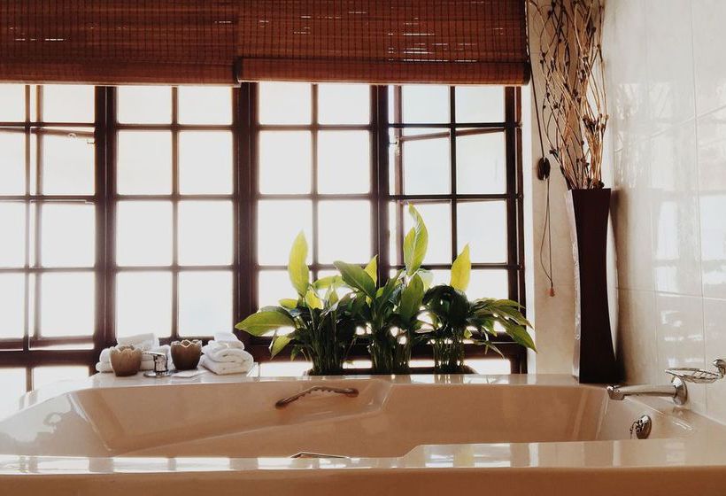 Pensión Coral Tree Inn Gauteng