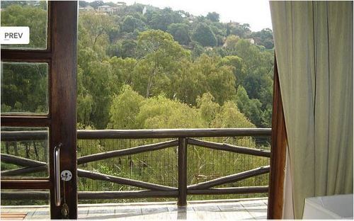 Pension Coral Tree Inn 20