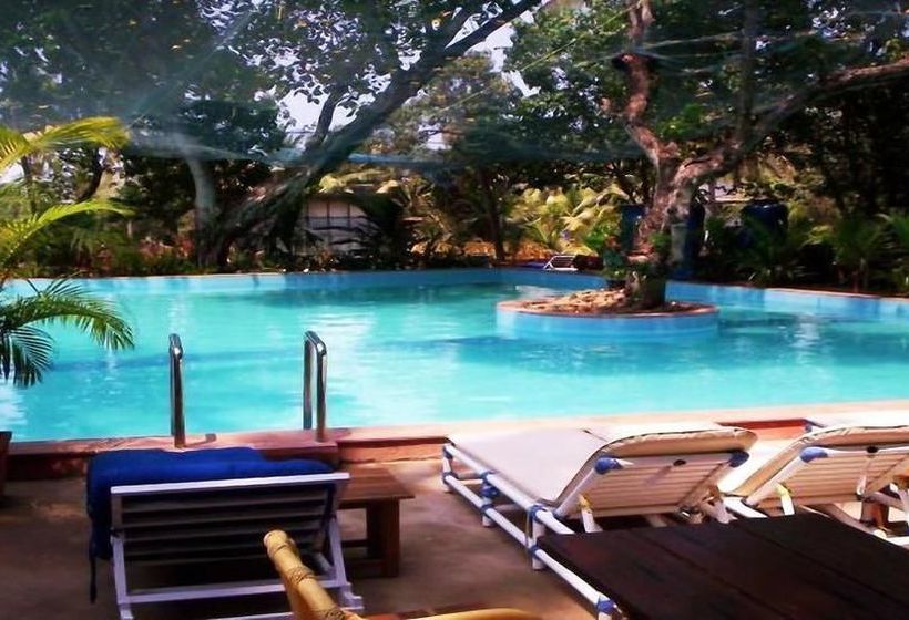 Hotel Little Italy 10