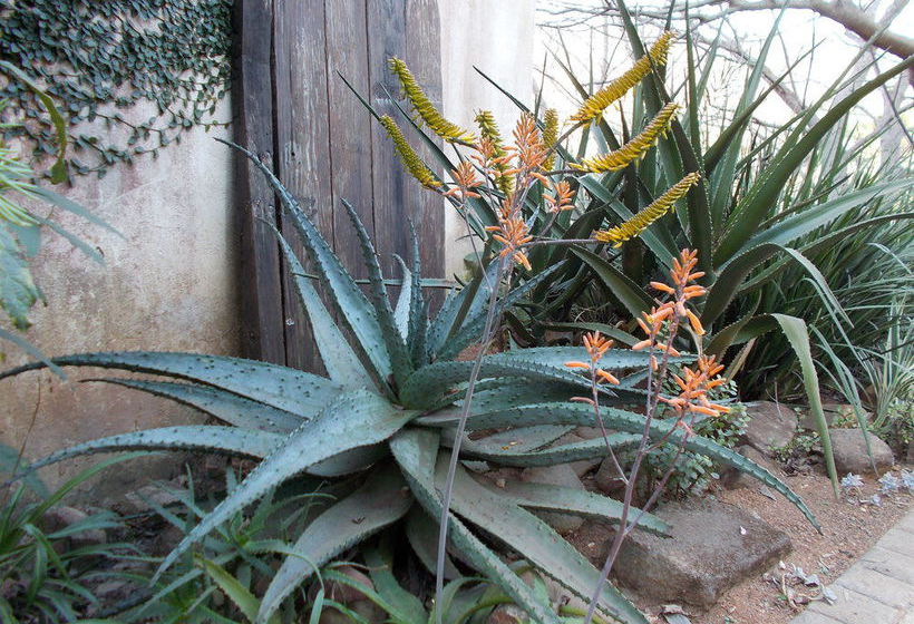 Sabie Self-catering Apartments 20