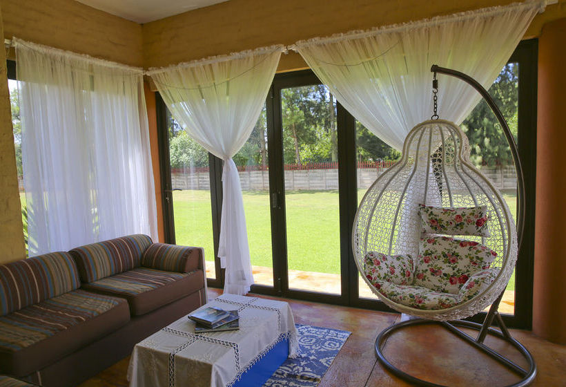 Hotel Avoca Lodge 19