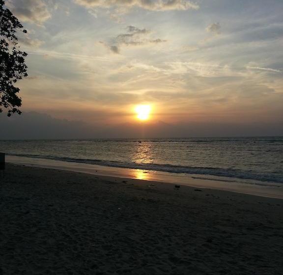 Hotel P&p Samui Resort 11