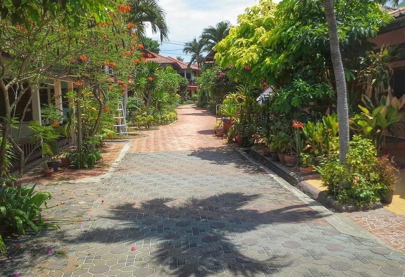 Hotel P&p Samui Resort 3